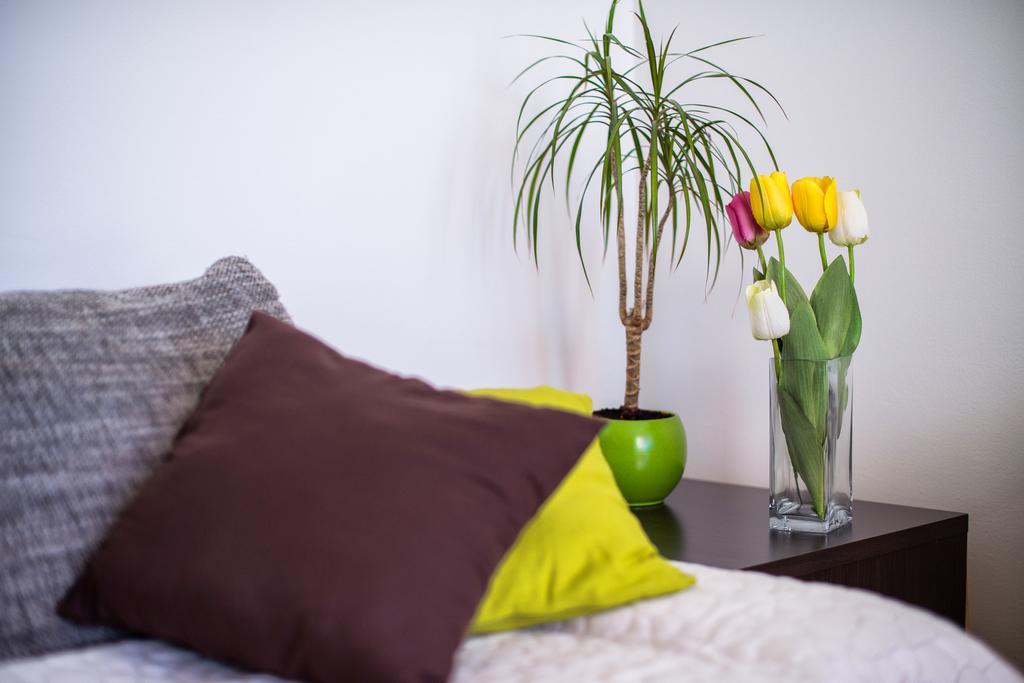Apartment Dominik Подстрана Екстериор снимка